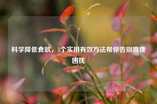 科学降低食欲,5个实用有效 *** 帮你告别嘴馋困扰