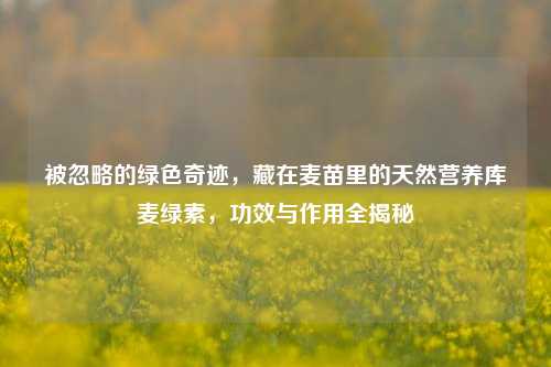 被忽略的绿色奇迹,藏在麦苗里的天然营养库麦绿素,功效与作用全揭秘
