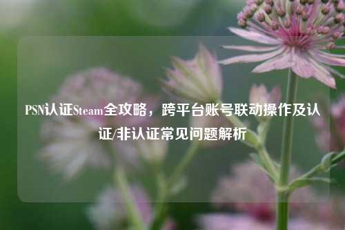 PSN认证Steam全攻略，跨平台账号联动操作及认证/非认证常见问题解析