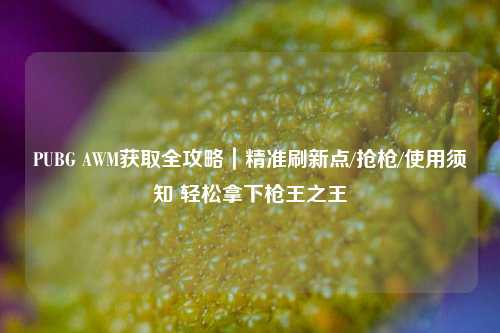 PUBG AWM获取全攻略｜精准刷新点/抢枪/使用须知 轻松拿下枪王之王