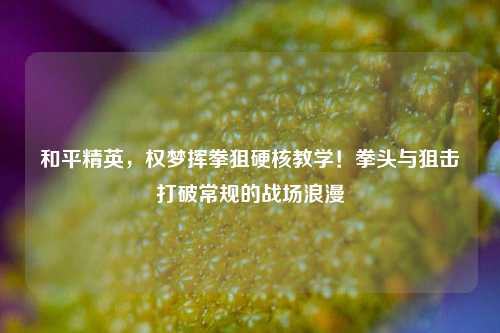 和平精英,权梦挥拳狙硬核教学!拳头与狙击打破常规的战场浪漫