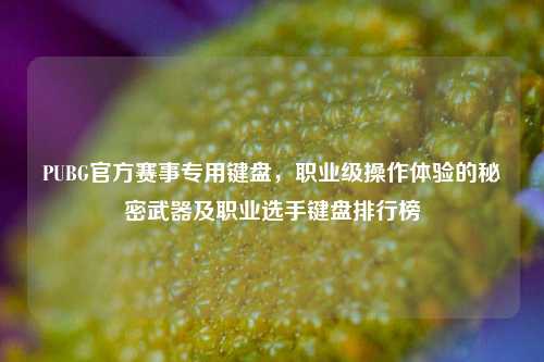 PUBG官方赛事专用键盘，职业级操作体验的秘密武器及职业选手键盘排行榜