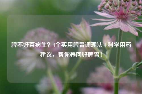 脾不好百病生?4个实用脾胃调理法+科学用药建议,帮你养回好脾胃!