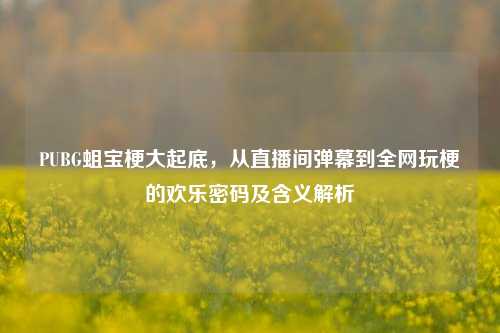 PUBG蛆宝梗大起底，从直播间弹幕到全网玩梗的欢乐密码及含义解析