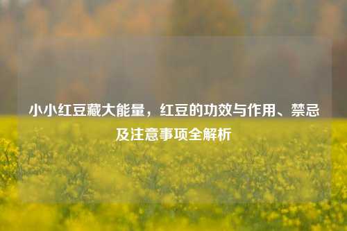 小小红豆藏大能量,红豆的功效与作用、禁忌及注意事项全解析