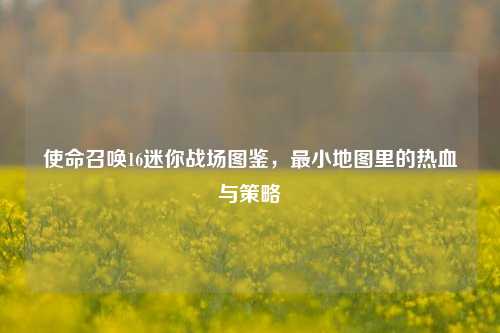 使命召唤16迷你战场图鉴，最小地图里的热血与策略