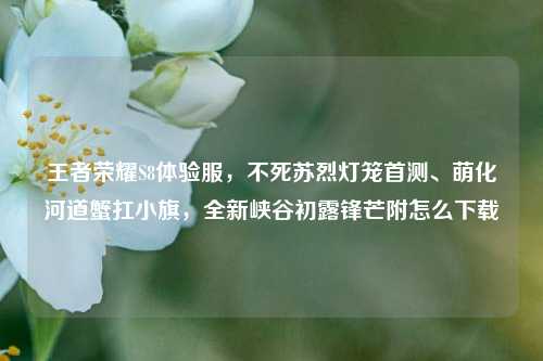 王者荣耀S8体验服，不死苏烈灯笼首测、萌化河道蟹扛小旗，全新峡谷初露锋芒附怎么下载