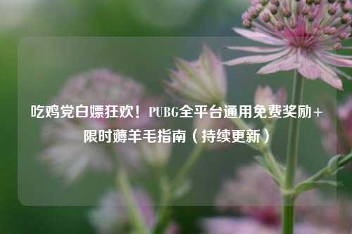 吃鸡党白嫖狂欢！PUBG全平台通用免费奖励+限时薅羊毛指南（持续更新）