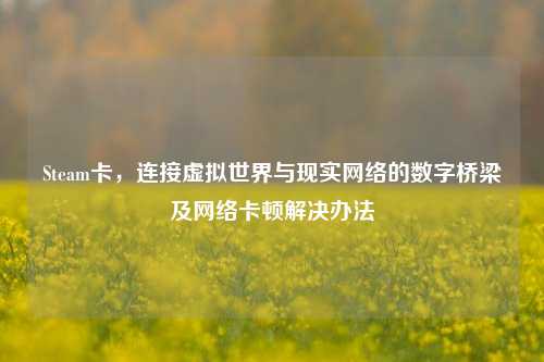 Steam卡，连接虚拟世界与现实 *** 的数字桥梁及 *** 卡顿解决办法