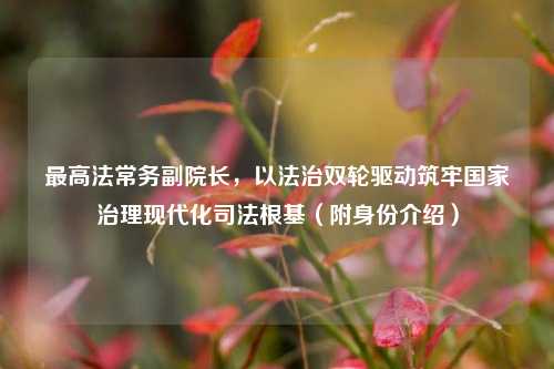 更高法常务副院长,以法治双轮驱动筑牢国家治理现代化司法根基(附身份介绍)