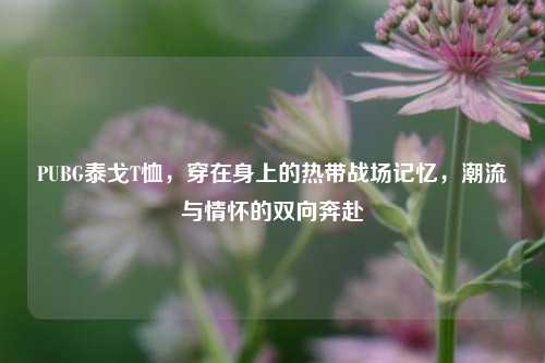 PUBG泰戈T恤,穿在身上的热带战场记忆,潮流与情怀的双向奔赴