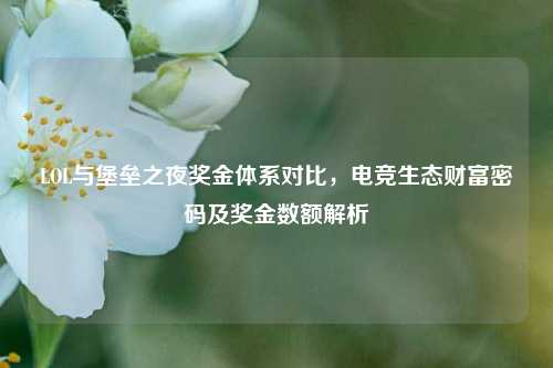 LOL与堡垒之夜奖金体系对比,电竞生态财富密码及奖金数额解析