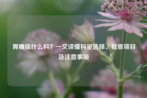 胃痛挂什么科？一文读懂科室选择、检查项目及注意事项