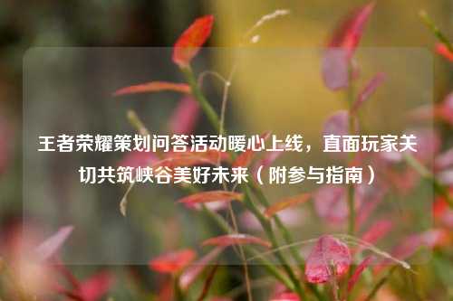 王者荣耀策划问答活动暖心上线，直面玩家关切共筑峡谷美好未来（附参与指南）