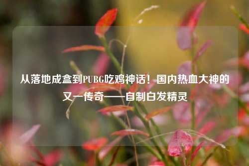从落地成盒到PUBG吃鸡神话！国内热血大神的又一传奇——自制白发精灵