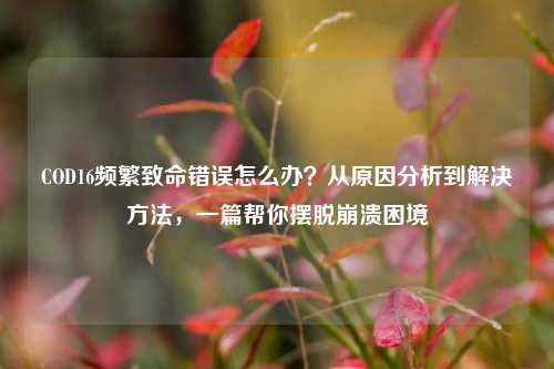 COD16频繁致命错误怎么办?从原因分析到解决 *** ,一篇帮你摆脱崩溃困境