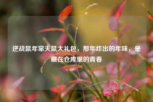 逆战鼠年窜天鼠大礼包，那年炸出的年味，是藏在仓库里的青春