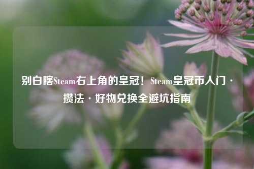 别白瞎Steam右上角的皇冠!Steam皇冠币入门·攒法·好物兑换全避坑指南