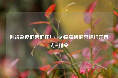 别被急停框架框住！CSGO隐藏版的奔跑打开方式+指令