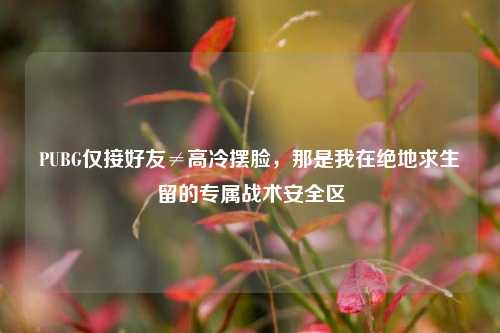 PUBG仅接好友≠高冷摆脸，那是我在绝地求生留的专属战术安全区