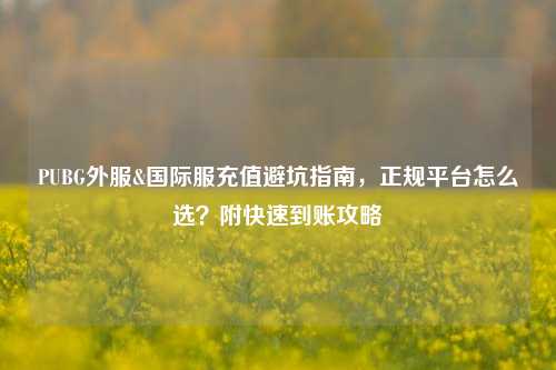 PUBG外服&国际服充值避坑指南，正规平台怎么选？附快速到账攻略