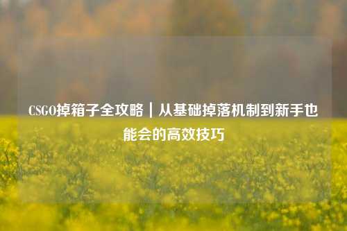 CSGO掉箱子全攻略｜从基础掉落机制到新手也能会的高效技巧
