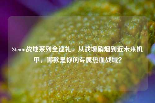 Steam战地系列全巡礼，从战壕硝烟到近未来机甲，哪款是你的专属热血战域？