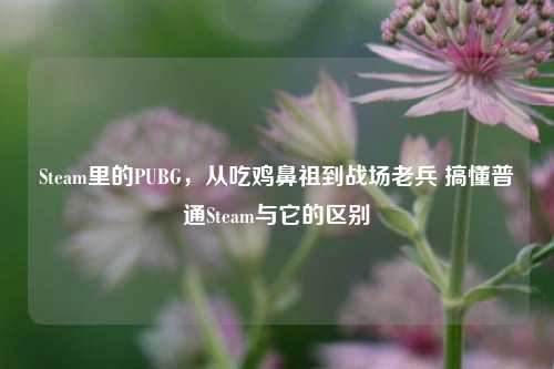 Steam里的PUBG，从吃鸡鼻祖到战场老兵 搞懂普通Steam与它的区别