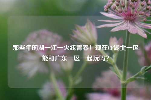那些年的湖一江一火线青春！现在CF湖北一区能和广东一区一起玩吗？