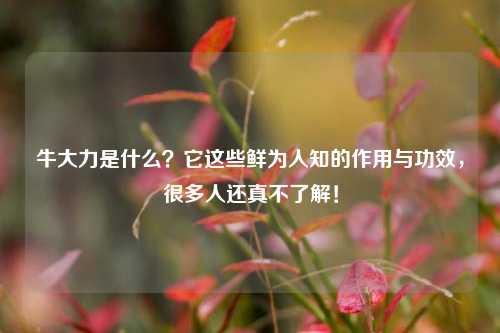 牛大力是什么？它这些鲜为人知的作用与功效，很多人还真不了解！
