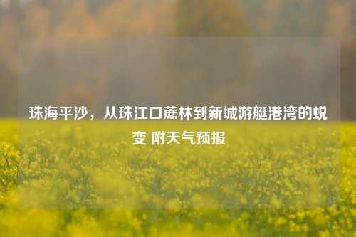 珠海平沙，从珠江口蔗林到新城游艇港湾的蜕变 附天气预报
