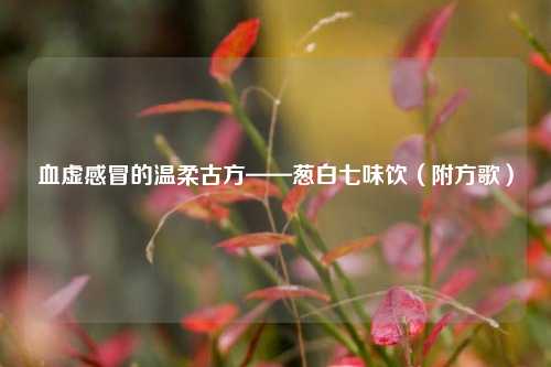血虚感冒的温柔古方——葱白七味饮（附方歌）