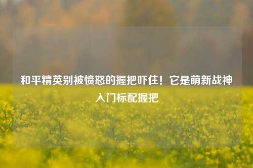 和平精英别被愤怒的握把吓住！它是萌新战神入门标配握把