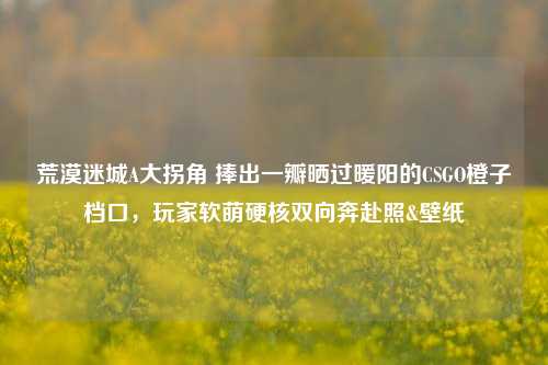 荒漠迷城A大拐角 捧出一瓣晒过暖阳的CSGO橙子档口，玩家软萌硬核双向奔赴照&壁纸