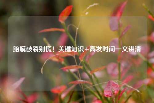 胎膜破裂别慌！关键知识+高发时间一文讲清