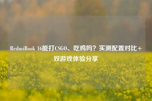 RedmiBook 16能打CSGO、吃鸡吗？实测配置对比+双游戏体验分享