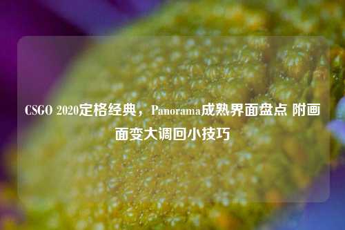 CSGO 2020定格经典，Panorama成熟界面盘点 附画面变大调回小技巧