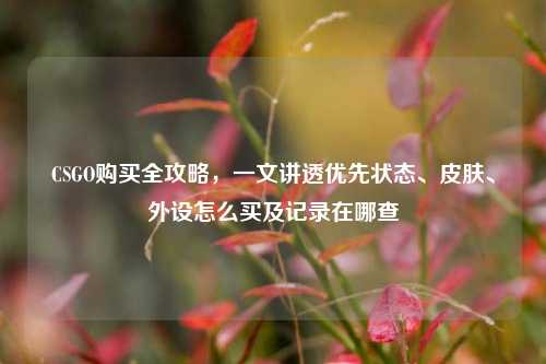 CSGO购买全攻略，一文讲透优先状态、皮肤、外设怎么买及记录在哪查