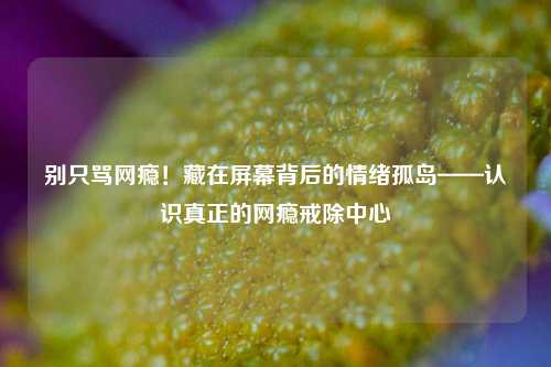 别只骂网瘾！藏在屏幕背后的情绪孤岛——认识真正的网瘾戒除中心
