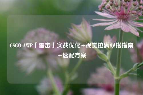 CSGO AWP「雷击」实战优化+视觉拉满双搭指南+速配方案