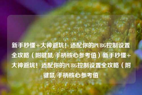 新手秒懂+大神避坑！适配你的PUBG控制设置全攻略（附键鼠/手柄核心参考值）新手秒懂+大神避坑！适配你的PUBG控制设置全攻略（附键鼠/手柄核心参考值