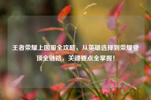 王者荣耀上国服全攻略，从英雄选择到荣耀登顶全链路，关键要点全掌握！