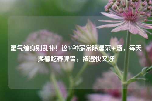 湿气缠身别乱补！这10种家常除湿菜+汤，每天换着吃养脾胃，祛湿快又好