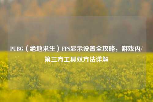 PUBG（绝地求生）FPS显示设置全攻略，游戏内/第三方工具双 *** 详解