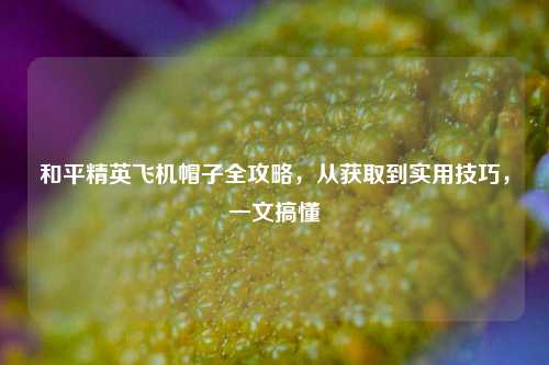 和平精英飞机帽子全攻略,从获取到实用技巧,一文搞懂