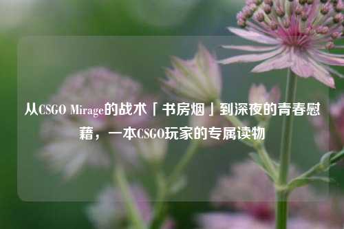 从CSGO Mirage的战术「书房烟」到深夜的青春慰藉，一本CSGO玩家的专属读物