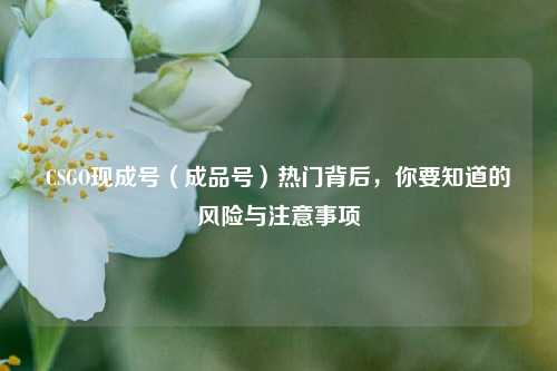 CSGO现成号（成品号）热门背后，你要知道的风险与注意事项