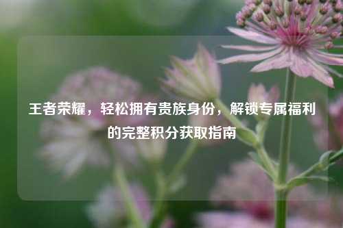 王者荣耀，轻松拥有贵族身份，解锁专属福利的完整积分获取指南
