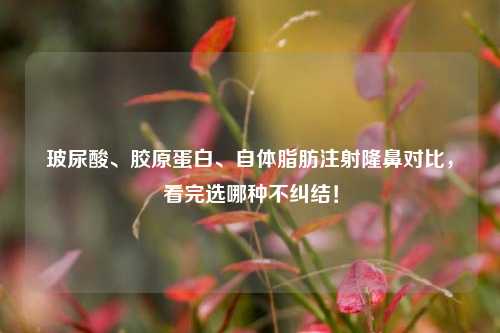玻尿酸、胶原蛋白、自体脂肪注射隆鼻对比，看完选哪种不纠结！