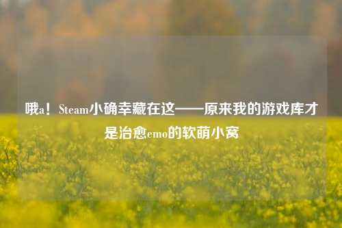 哦a!Steam小确幸藏在这——原来我的游戏库才是治愈emo的软萌小窝